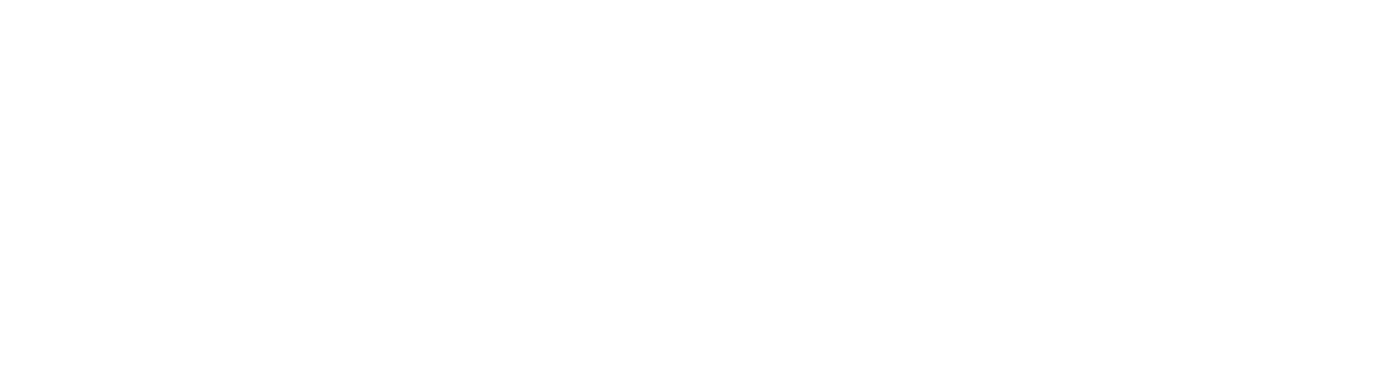 Zenin logo